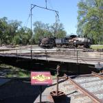 IMG_7914 (May 28, 2024)